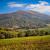 99_bieszczady_tarnica_21.jpg