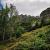 Tatry20160858l.jpg