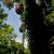 99_przem_arboretum_06.jpg
